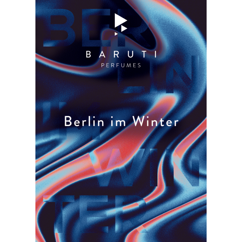 BERLIN IM WINTER